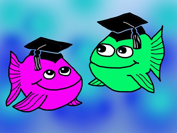 Two cartoon fish wearing mortar board hats