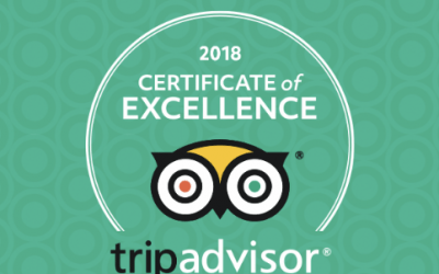 A TRIP ADVISOR HONOUR