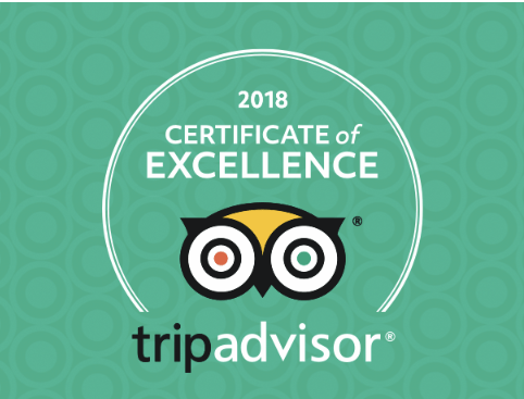 Trip Advisor logo on green background with the words 'Certificate of Excellence' written above the logo
