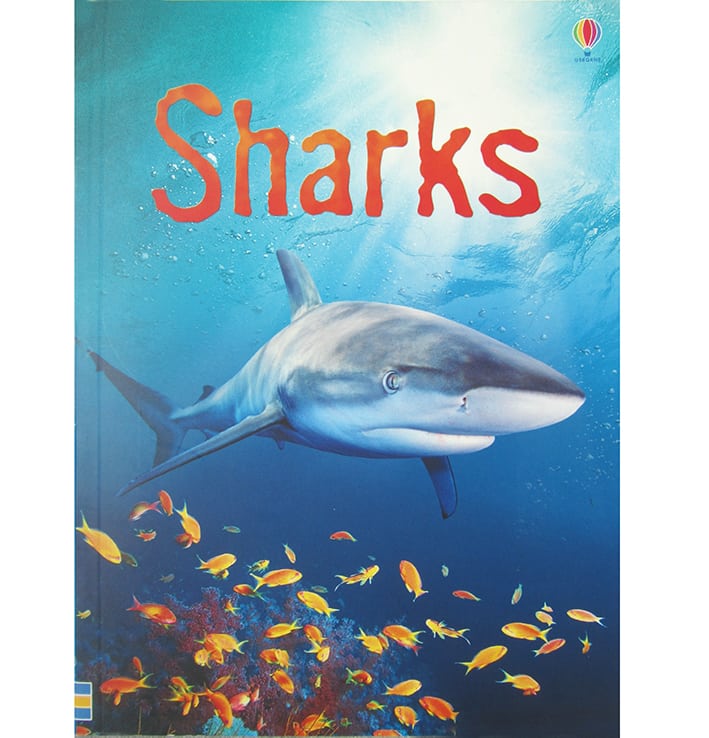 Cover of book entitled ' Sharks' with great white shark in centre with school of small golden coloured fish below.