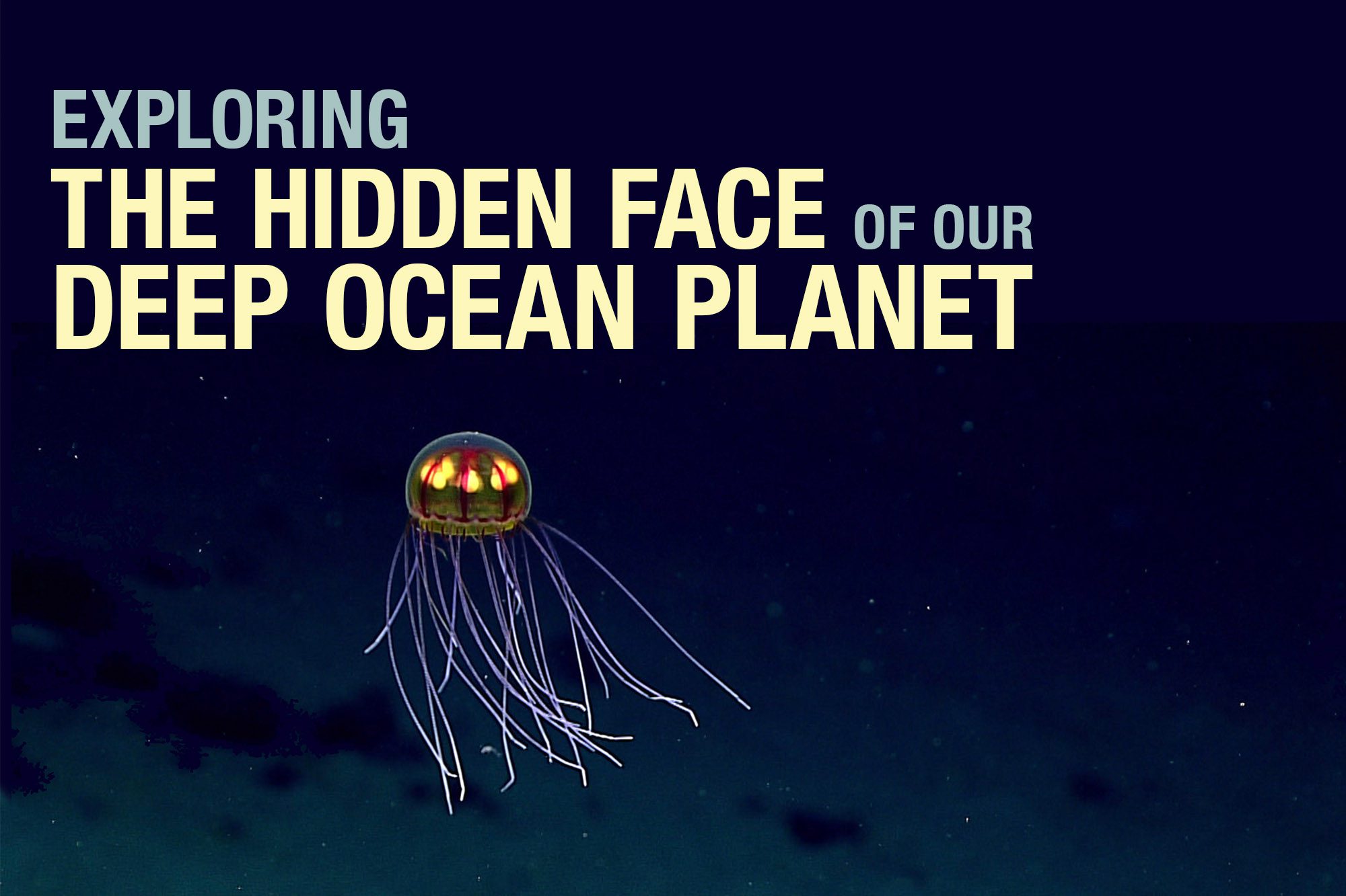 A deep ocean jellyfish with red and yellow spots of luminescence in the head and long white tendrils for legs