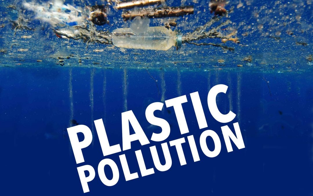 Plastic Pollution: How did we get there and what can we do about it?