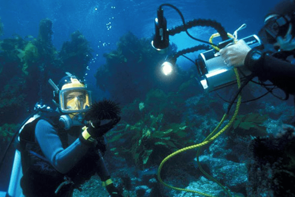two divers underwater; one on the left is holding a sea urchin in his had while the diver on the right is filming the scene