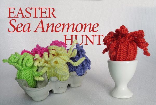 Easter Sea Anemone Hunt