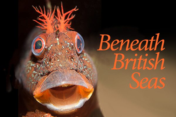 Beneath British Seas