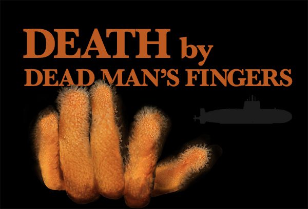 Orange soft coral, known as Dead Man's fingers on a black background with the silhouette of a submarine in the distance (photo by Kris Mikael Krister)