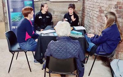 A consultancy exercise at the Museum